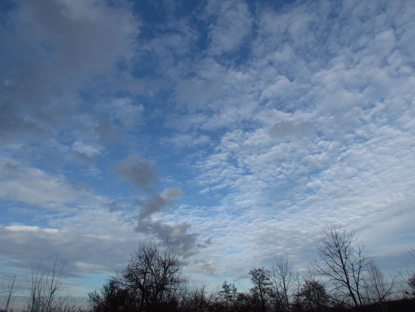 Picture_2 012